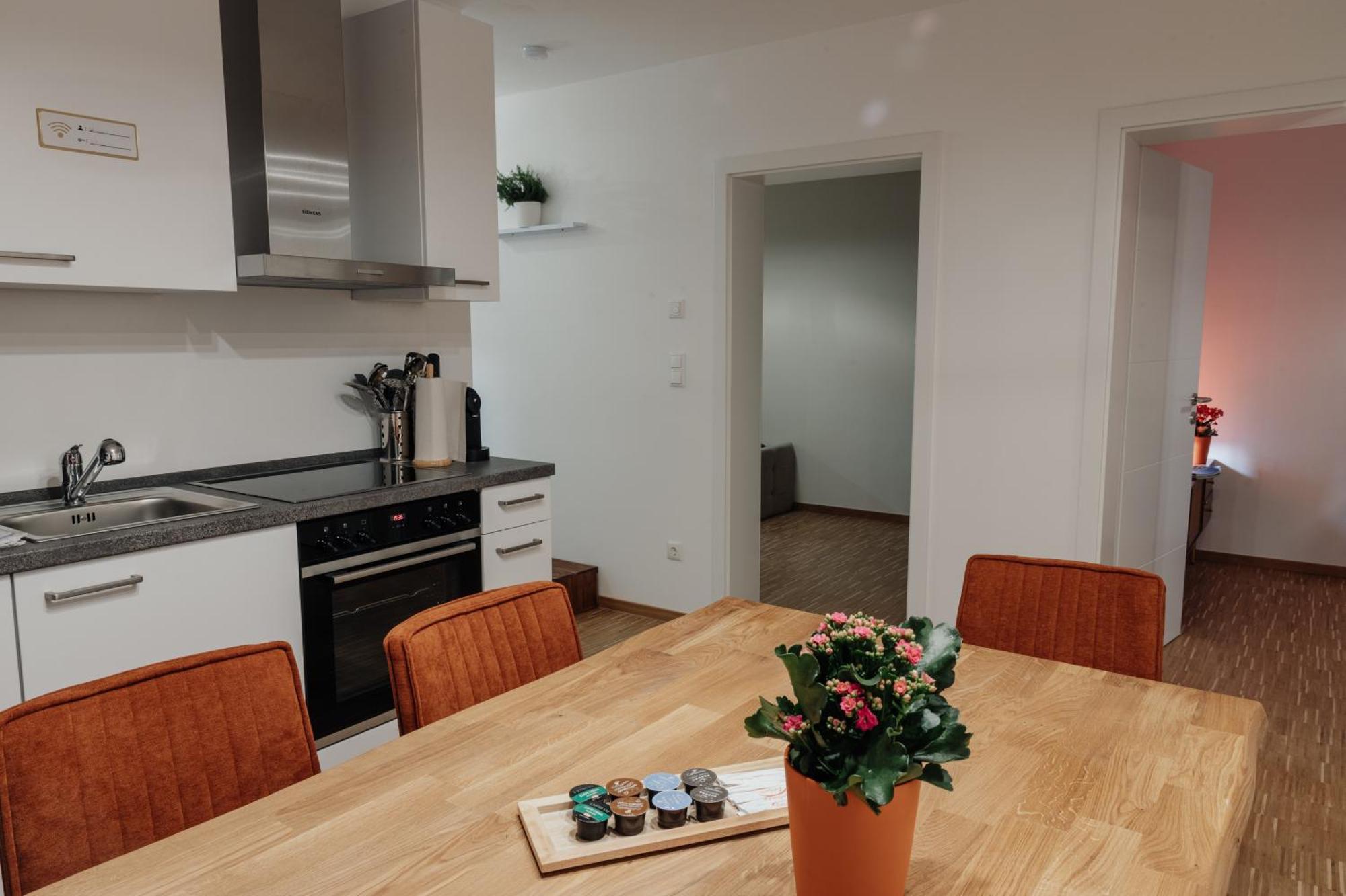 Passaus Motto Appartements! Solo - Paerchen - Familien - Gruppen Værelse billede